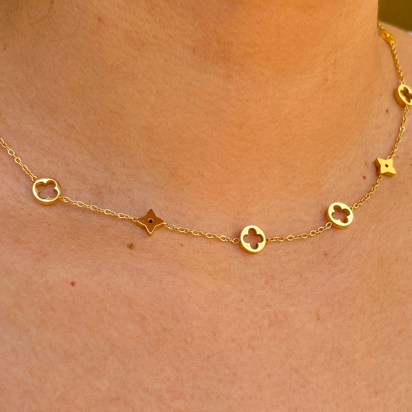 Collar Dupe LV Acero Inoxidable 1554-1
