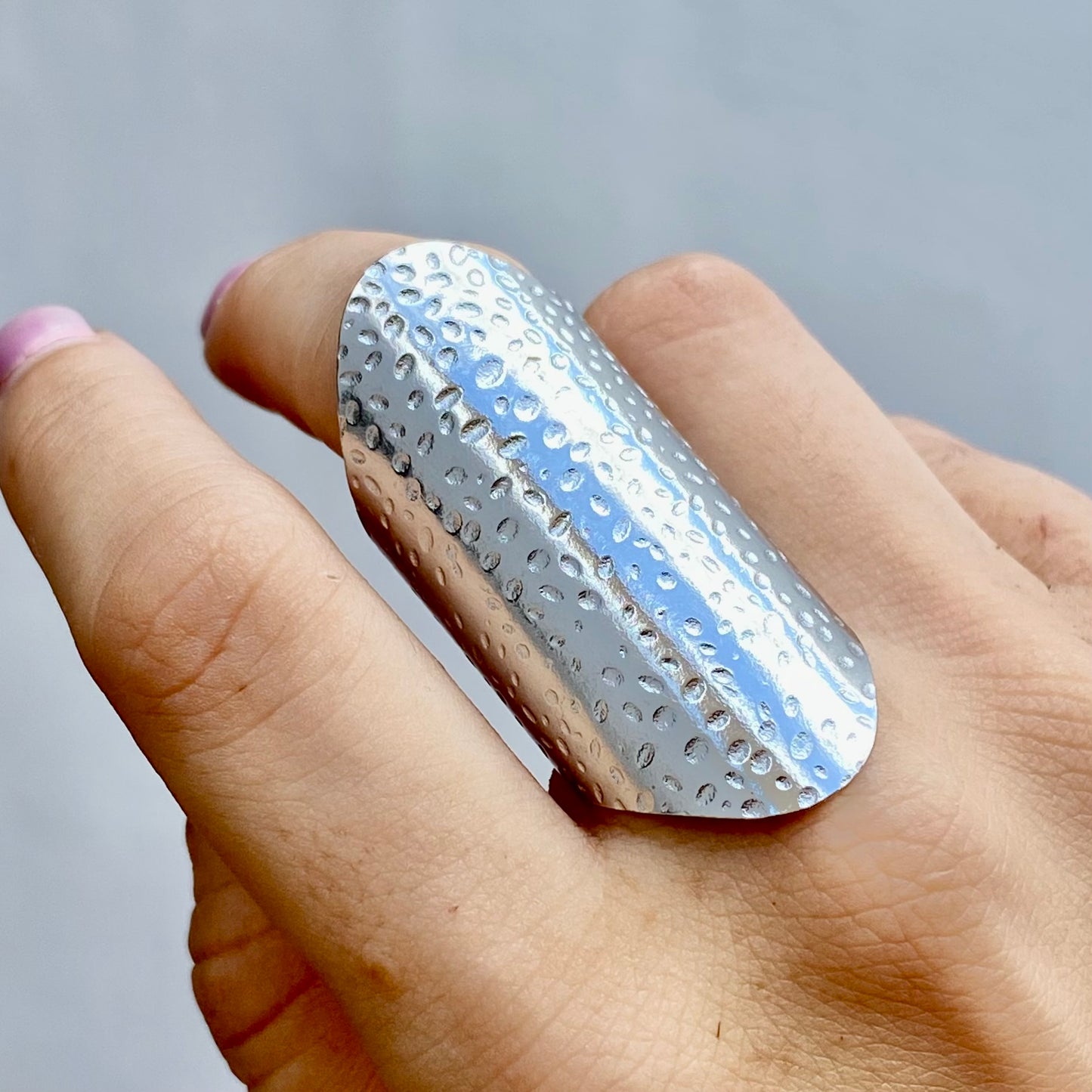 Anillo Acero Inoxidable 5597-91