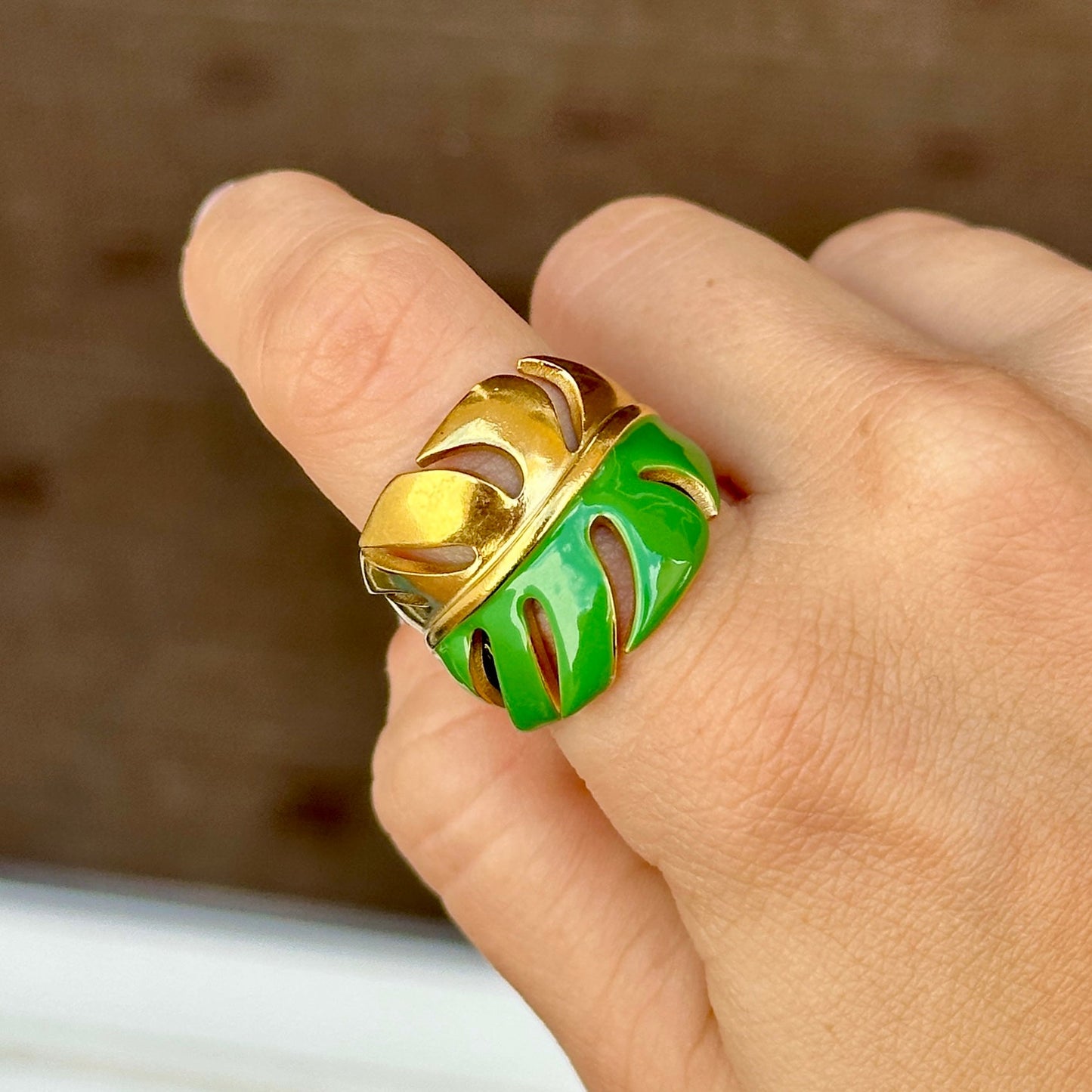 Anillo Acero Inoxidable 5843-28