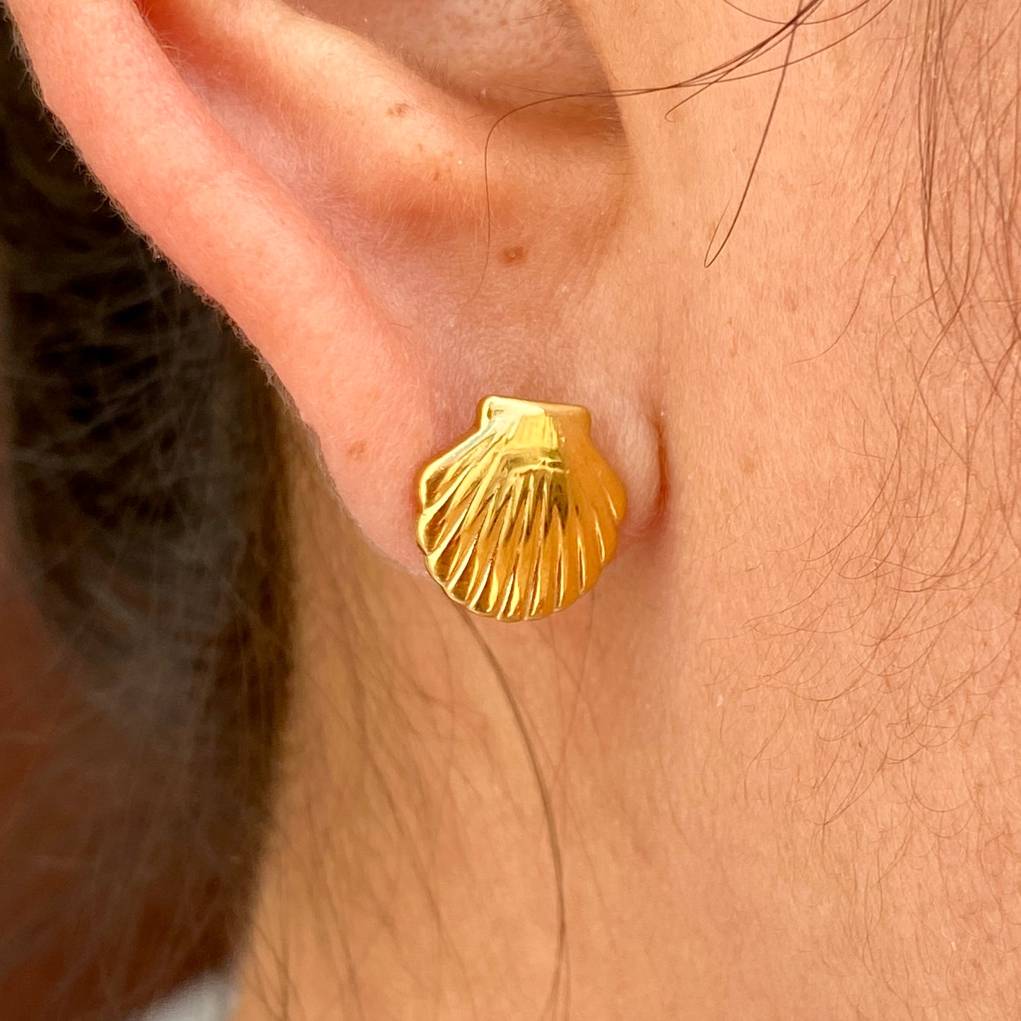 Aretes Acero Inoxidable 6175-10