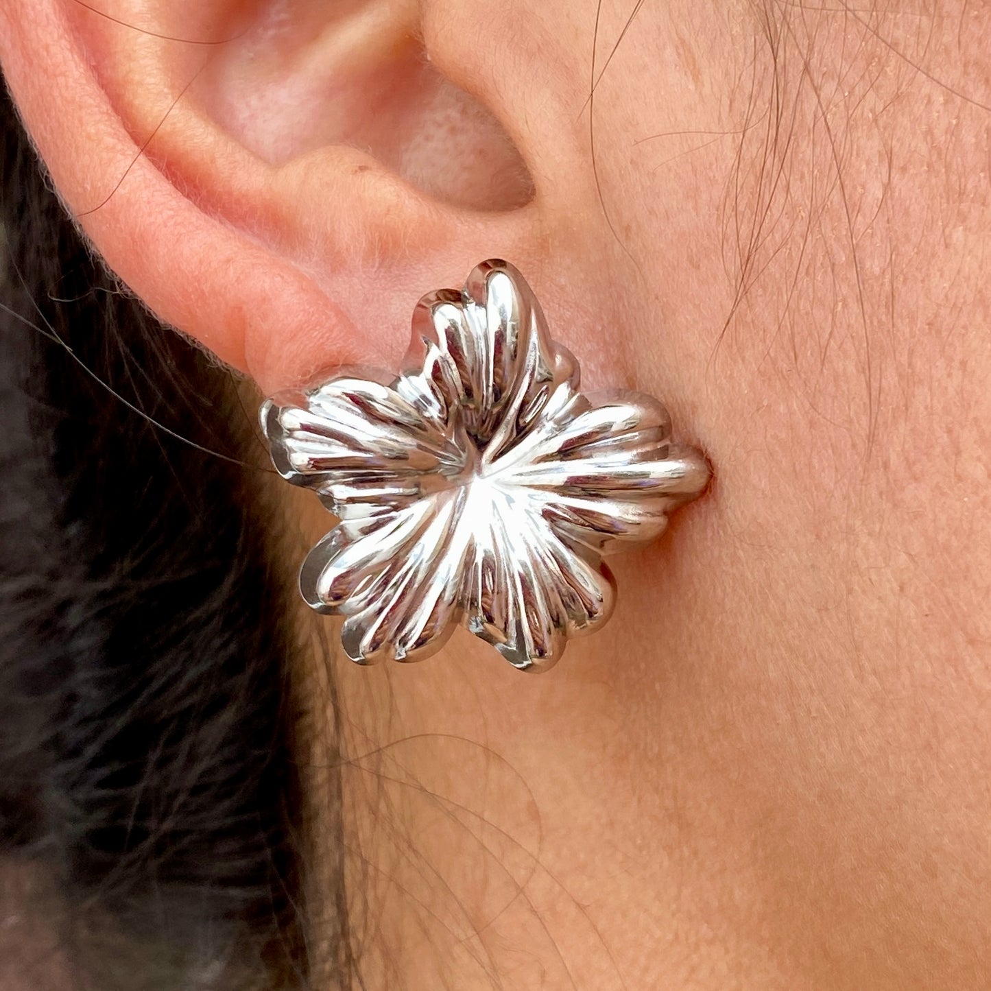 Aretes Acero Inoxidable 7339-99