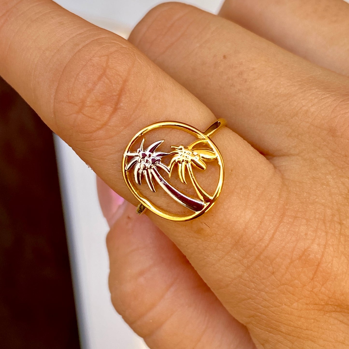 Anillo Acero Inoxidable 7387-84