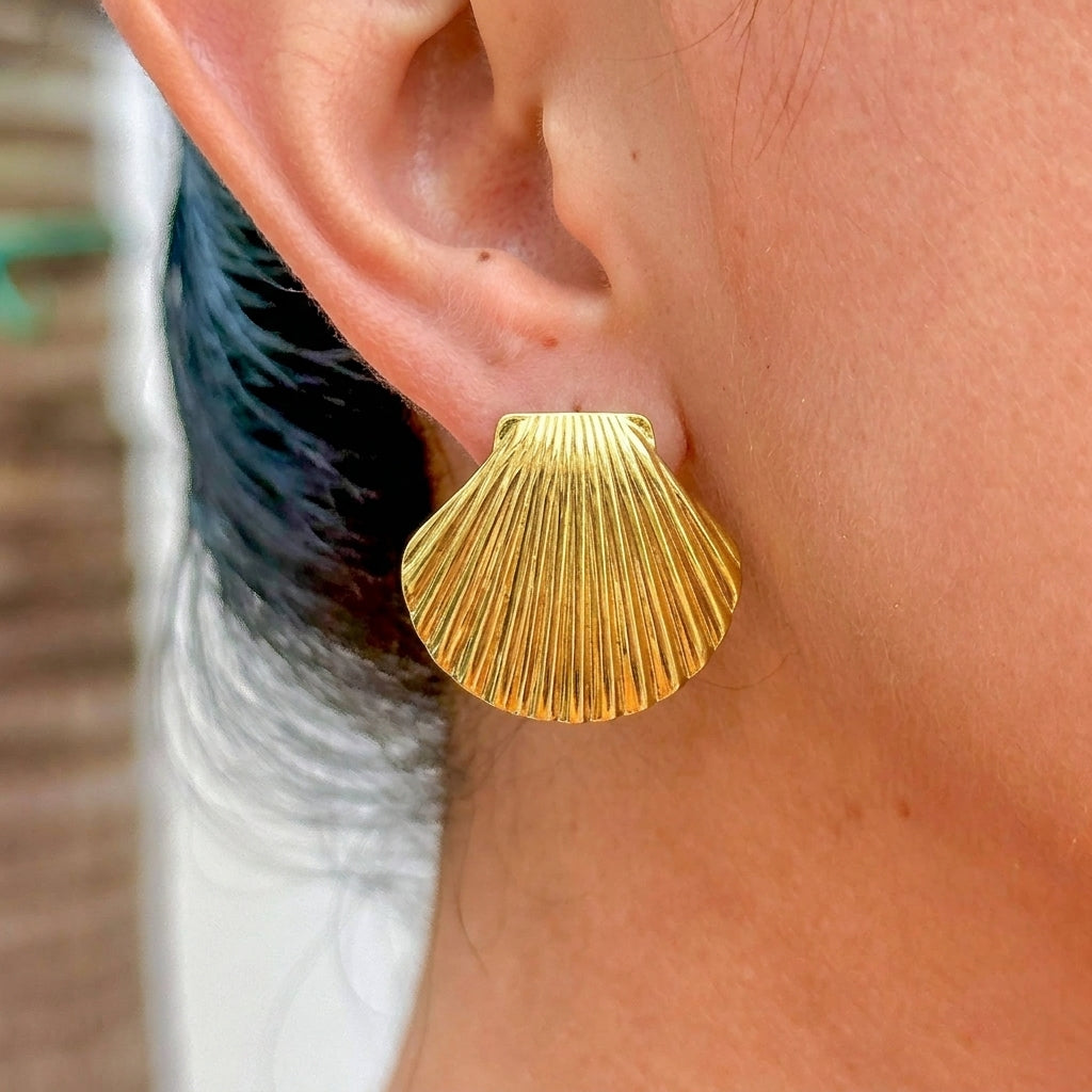 Aretes Concha Acero Inox 8196-25