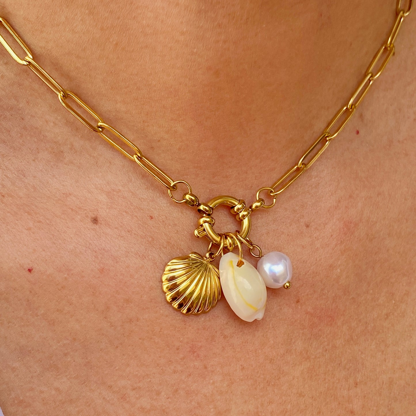 Collar Acero Inoxidable 9826-13