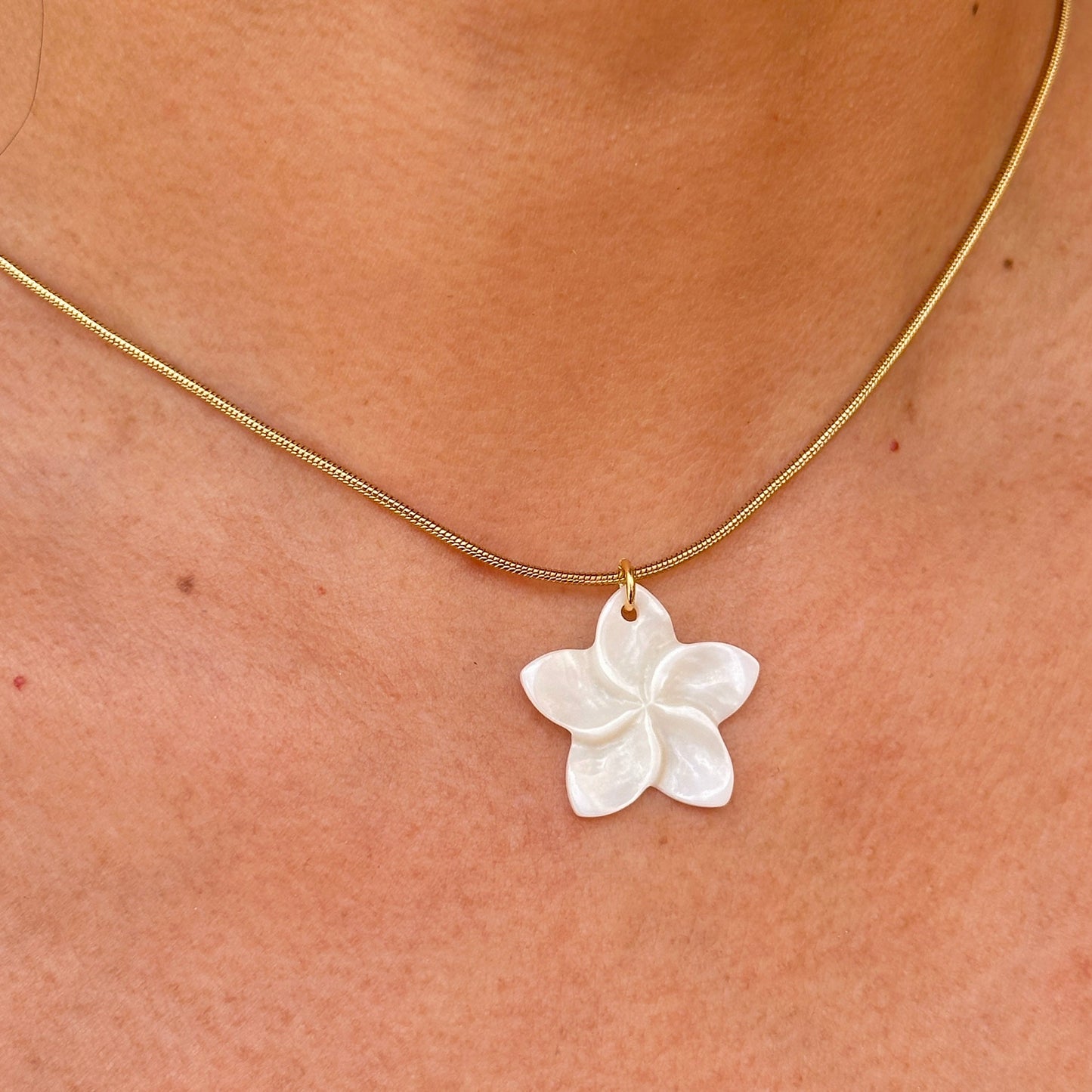 Collar Acero Inoxidable 9826-45