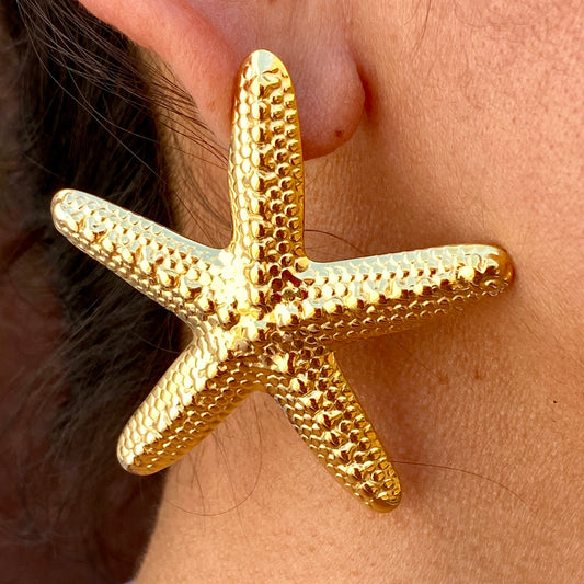 Aretes Acero Inoxidable 1909-1