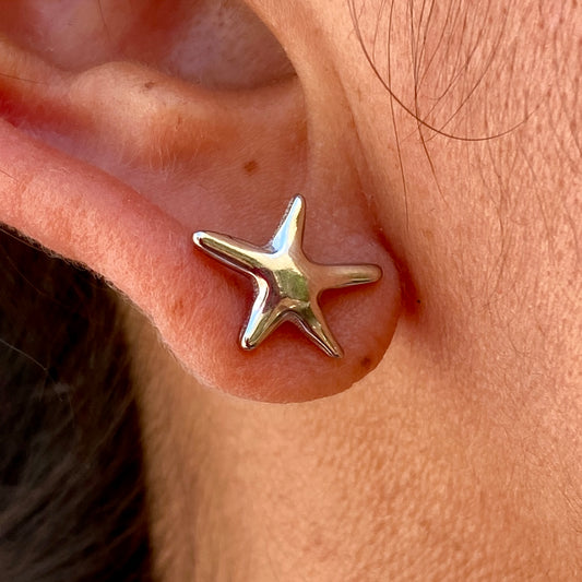 Aretes Acero Inoxidable 1909-73