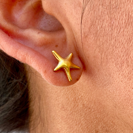 Aretes Acero Inoxidable 1909-74