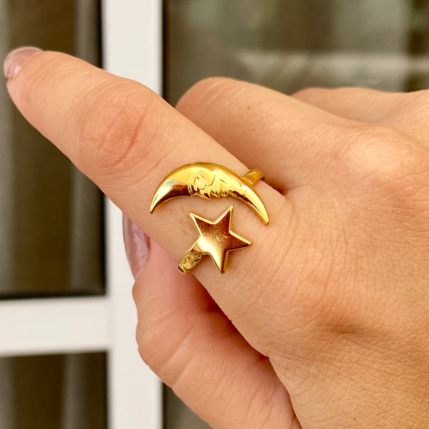 Anillo Acero Inoxidable 2015-110