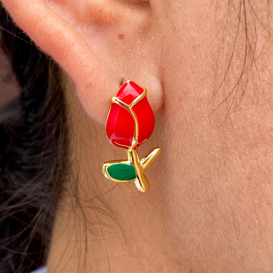Aretes Acero Inoxidable 2015-127