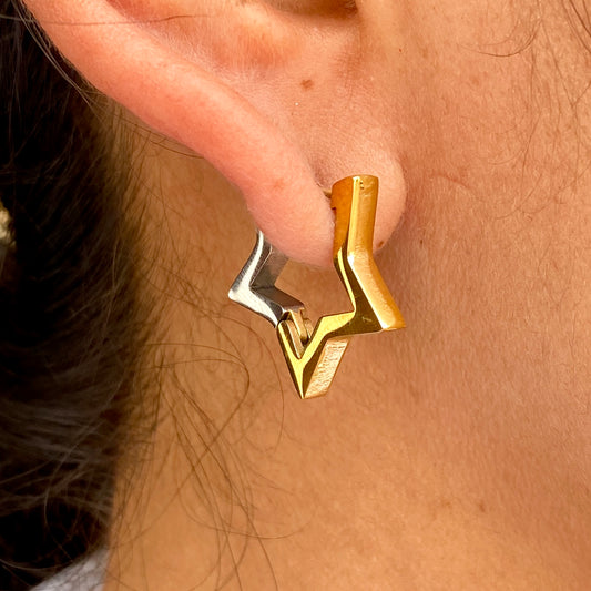 Aretes Acero Inoxidable 2015-134