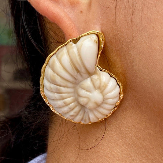 Acero Inoxidable 2015-151