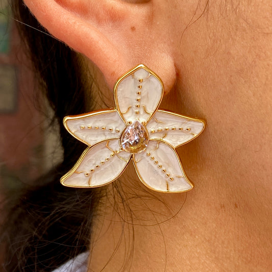 Aretes Acero Inoxidable 2015-202