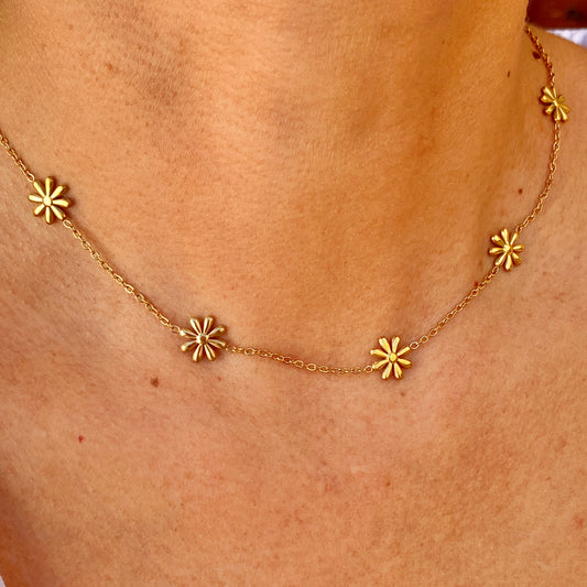 Collar Acero Inoxidable 2015-57