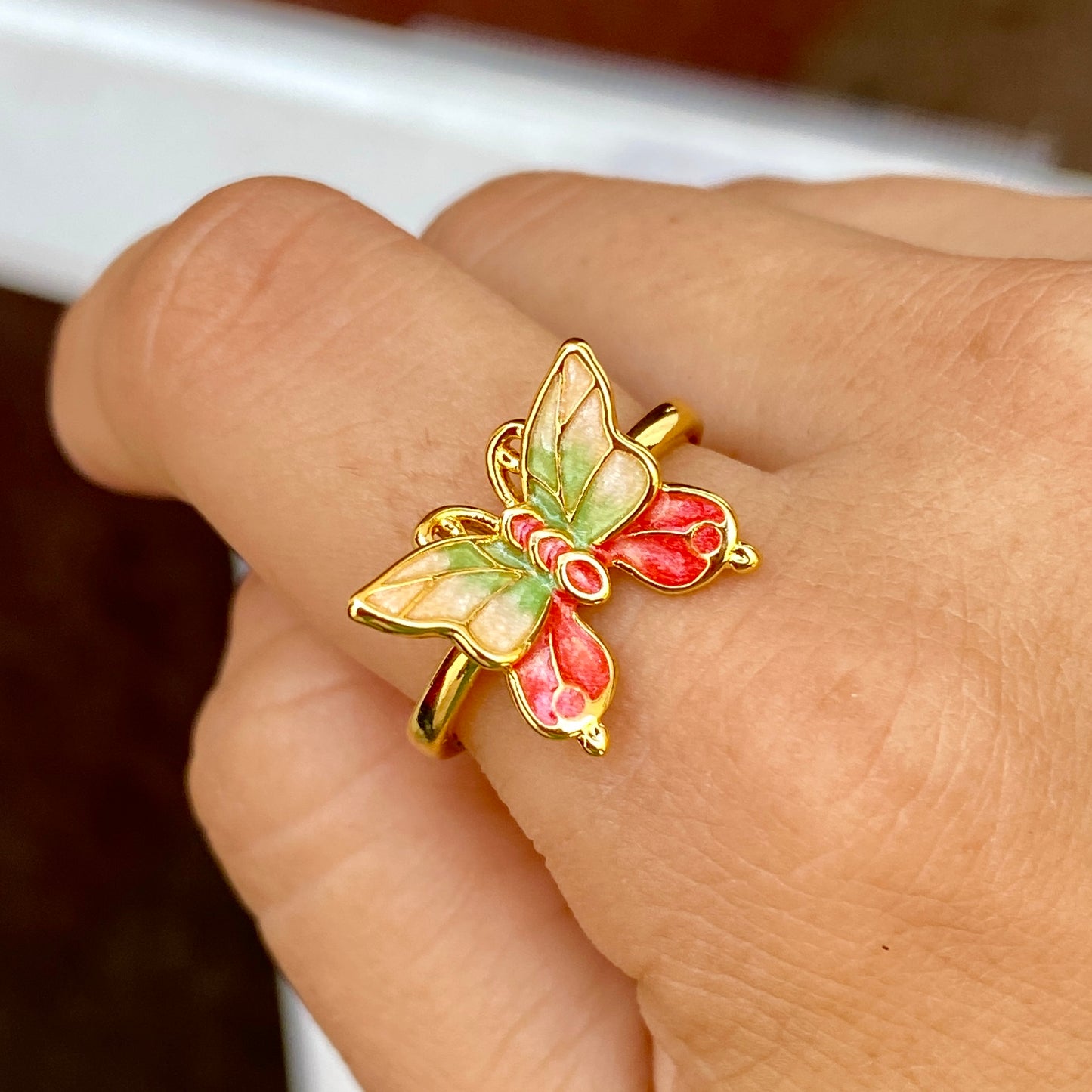 Anillo Chapa de Oro 2857-19