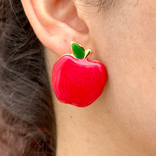 Aretes Acero Inoxidable 2911-46