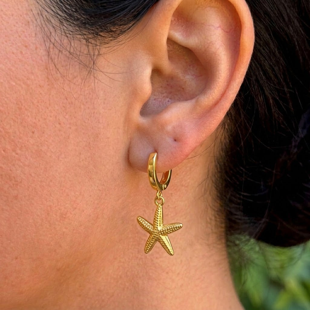 Aretes Argolla Dije Estrella Mar Acero Inox 3543-12