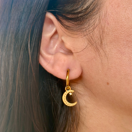 Aretes Acero Inoxidable 3971-14