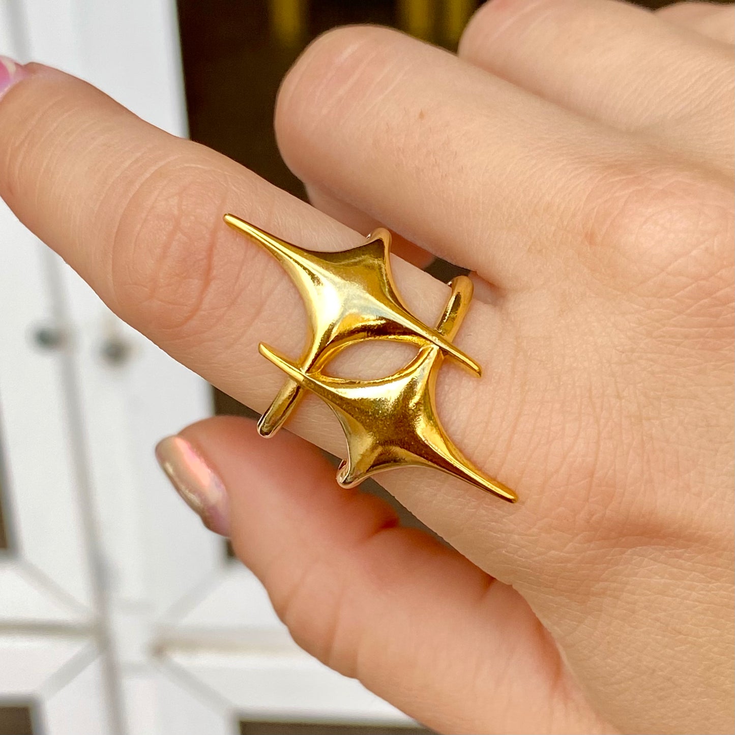 Anillo Acero Inoxidable 3971-80