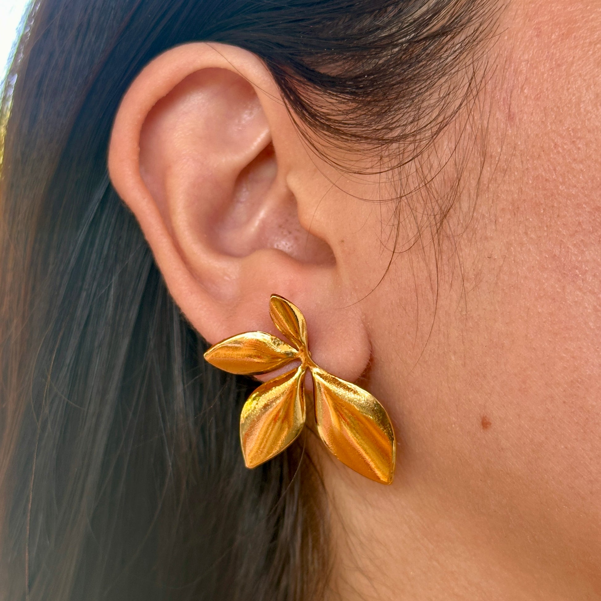 Aretes Acero Inoxidable 3971-88