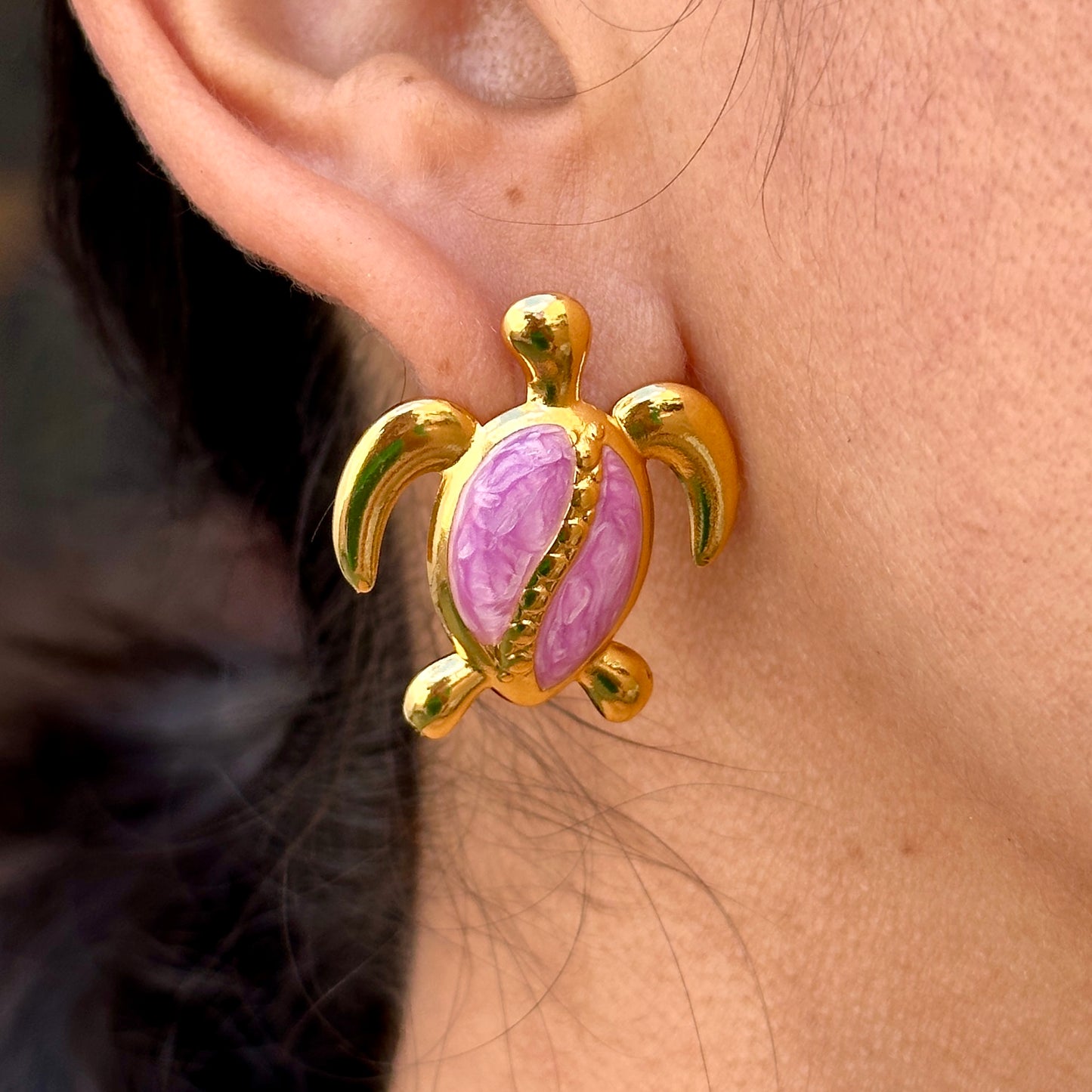 Aretes Tortuga Acero Inoxidable 4103-159