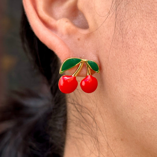 Aretes Acero Inoxidable 4103-164