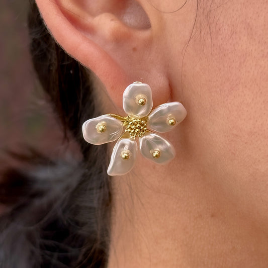 Aretes Chapa de Oro 4103-171