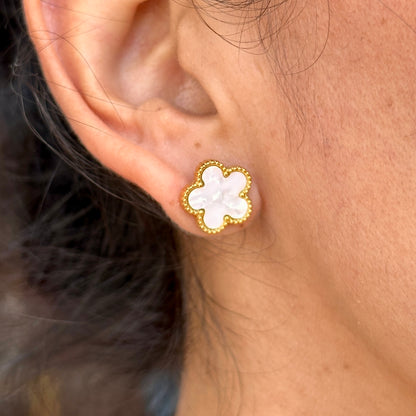 Set Collar Acero Inoxidable 4103-98