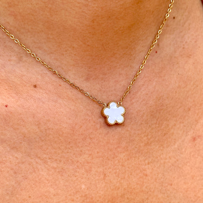 Set Collar Acero Inoxidable 4103-98