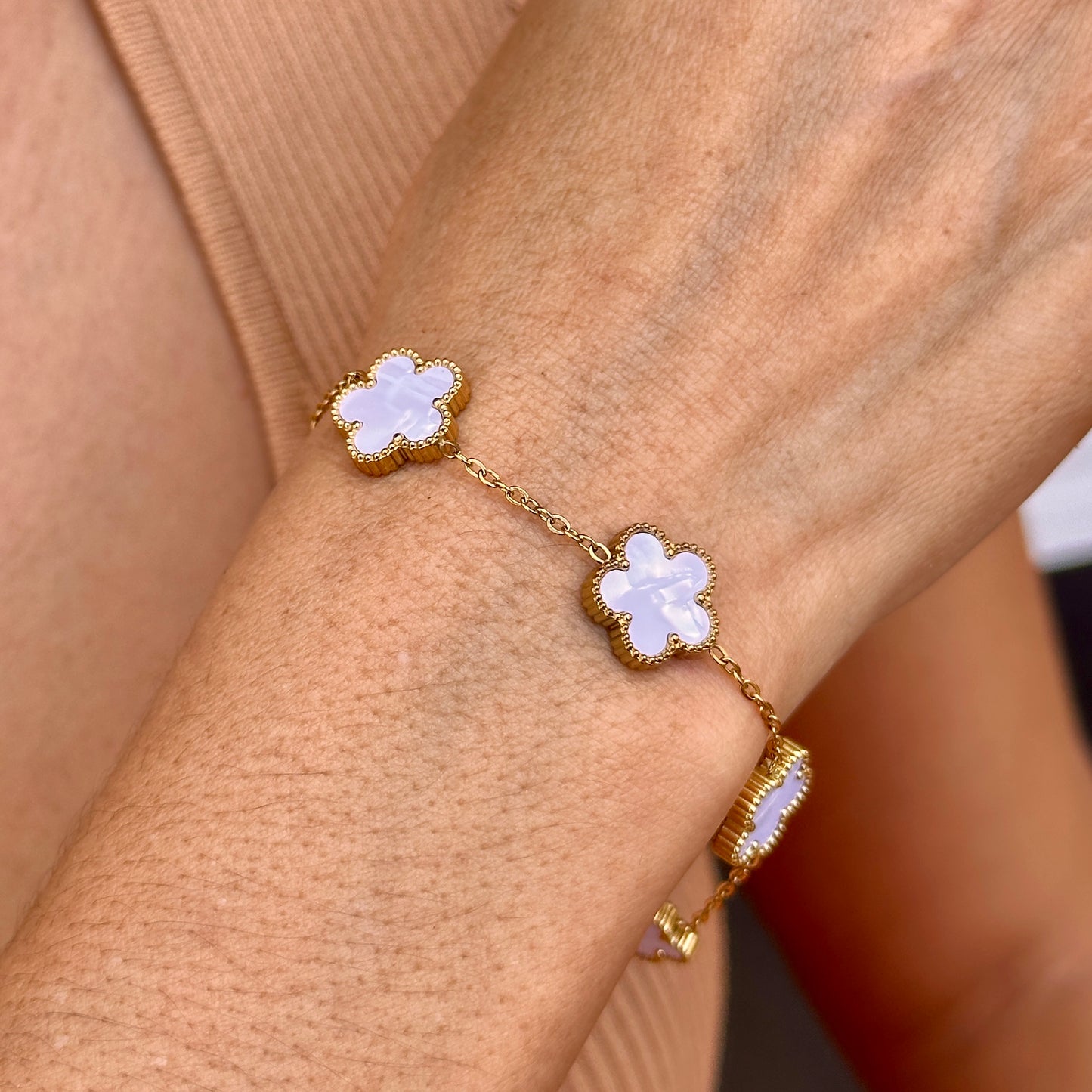 Set Collar Acero Inoxidable 4103-98