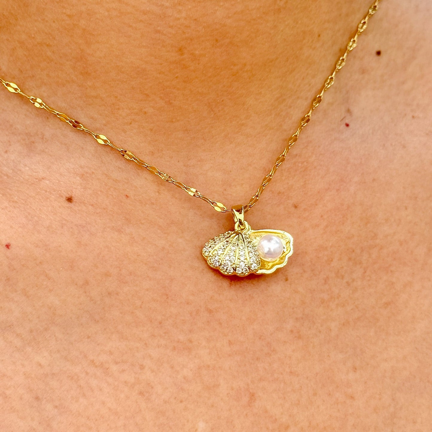 Collar Concha Perlas Acero Inox