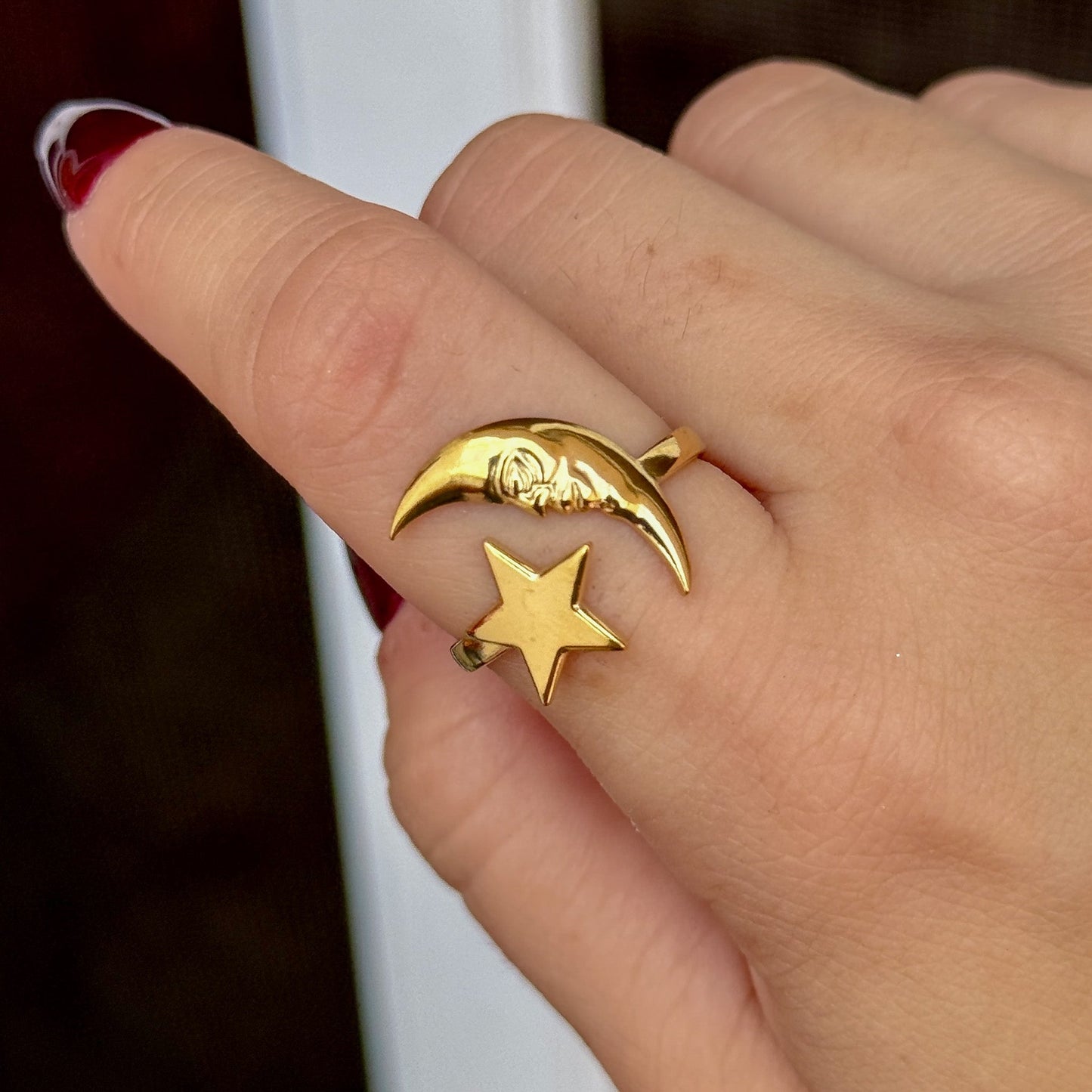Anillo Luna Acero Inox 5552-76