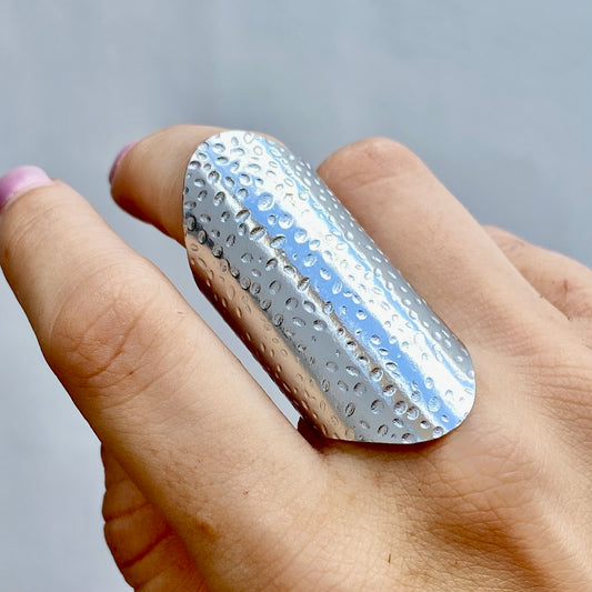 Anillo Acero Inoxidable 5597-91