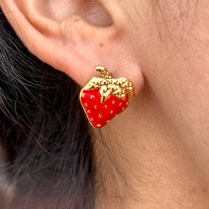 Aretes Acero Inoxidable 5843-50