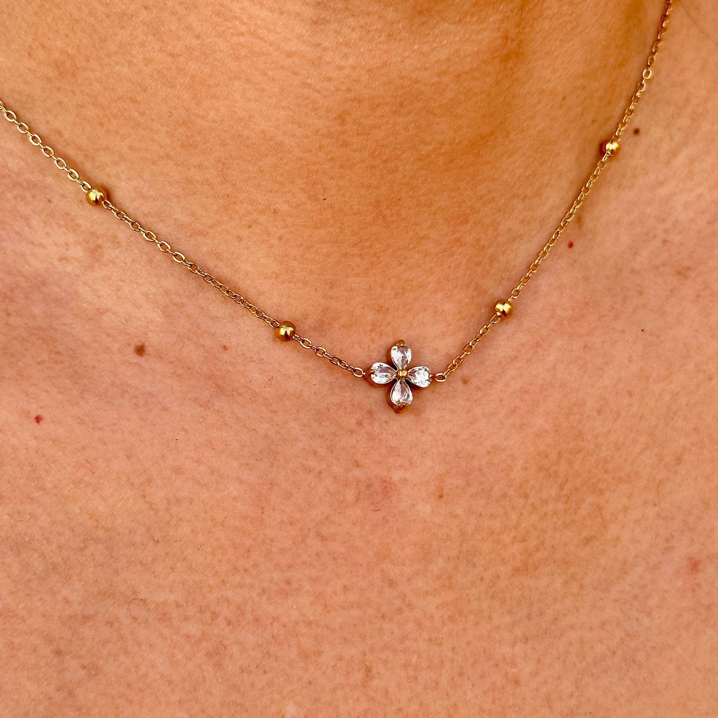 Collar Acero Inoxidable 5843-92