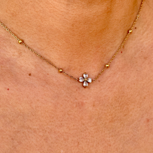 Collar Acero Inoxidable 5843-92