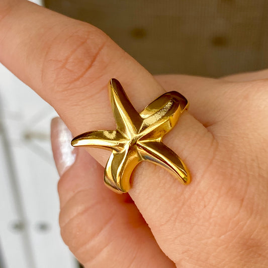 Anillo Acero Inoxidable 5917-6