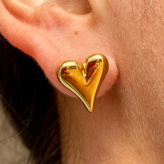 Aretes Acero Inoxidable 1000-10