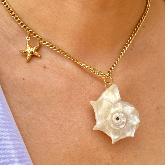 Collar Acero Inoxidable 6175-79