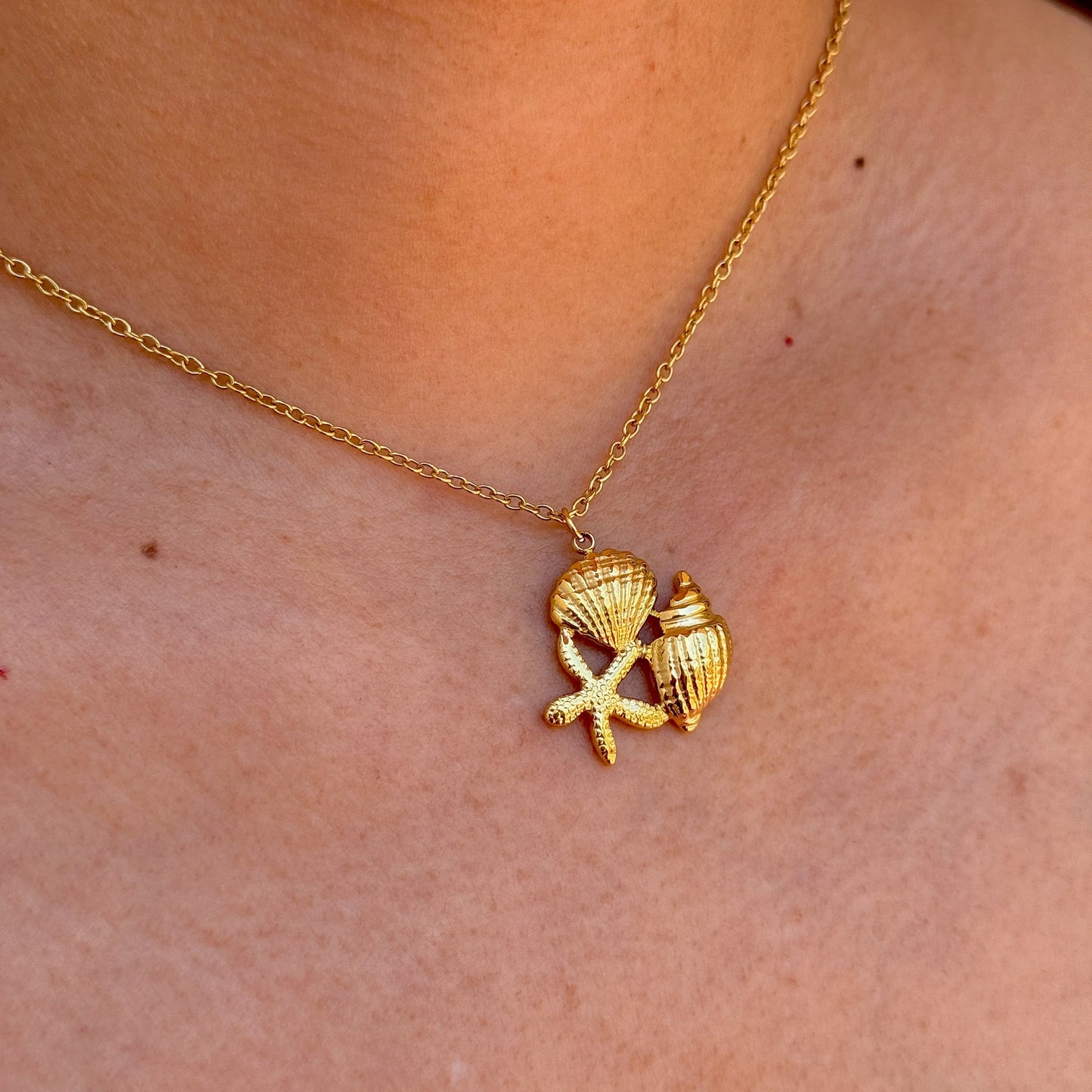 Collar Estrella Mar Cadena Acero Inox 8096-60