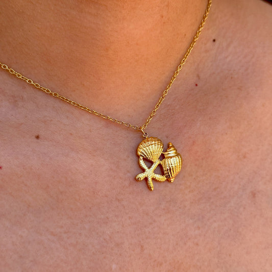 Collar Estrella Mar Cadena Acero Inox 8096-60