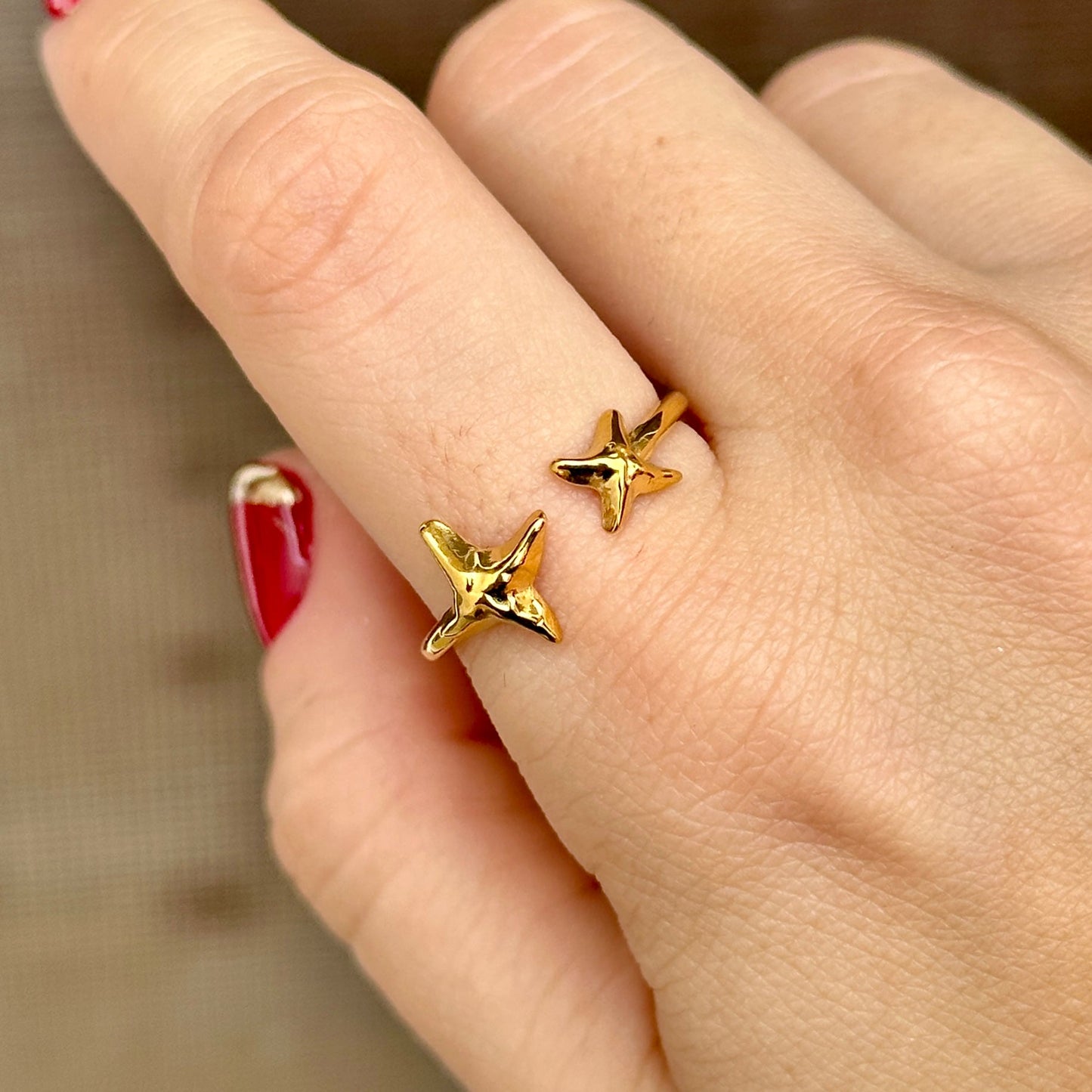 Anillo Acero Inoxidable 8117-60