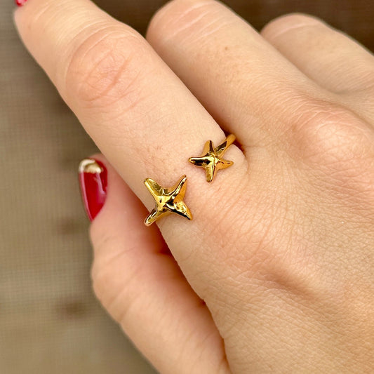 Anillo Acero Inoxidable 8117-60