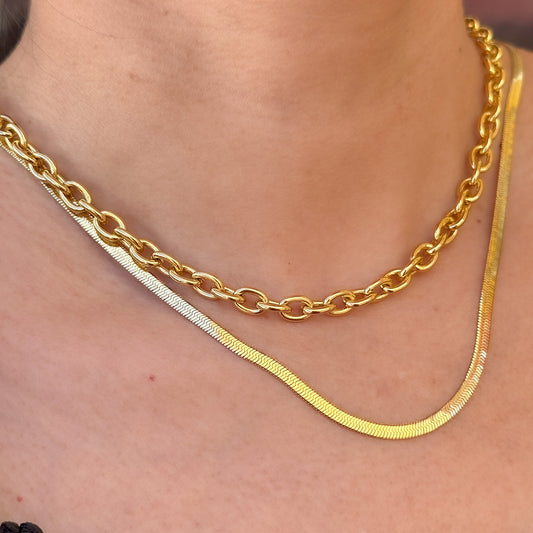 Collar Acero Inoxidable 8566-25