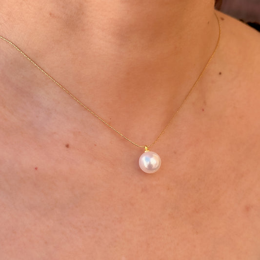 Collar Acero Inoxidable 8566-6