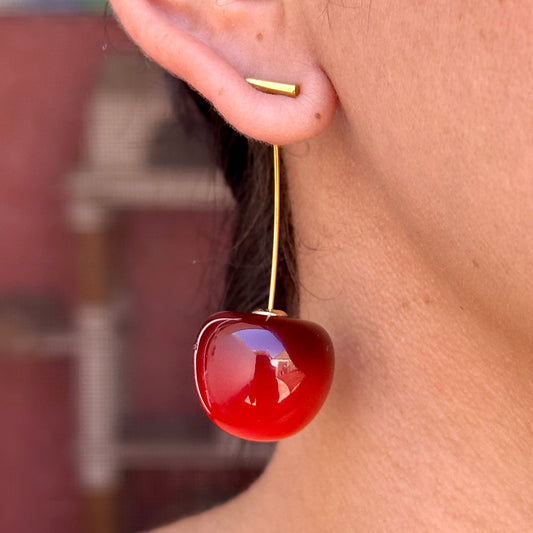 Aretes Acero Inoxidable 8901-1