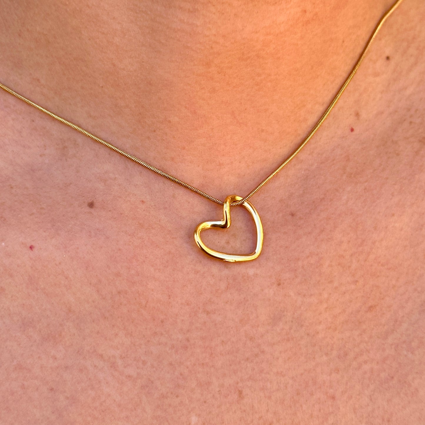 Collar Acero Inoxidable 8901-108