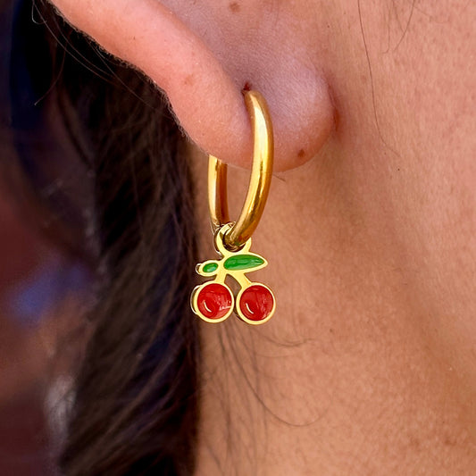 Aretes Acero Inoxidable 8901-17