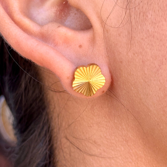 Aretes Acero Inoxidable 8901-20