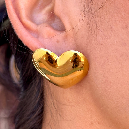 Aretes Acero Inoxidable 8901-35